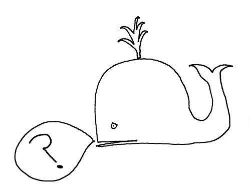 Non Standard Whale